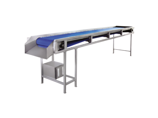 In-Feed Conveyor