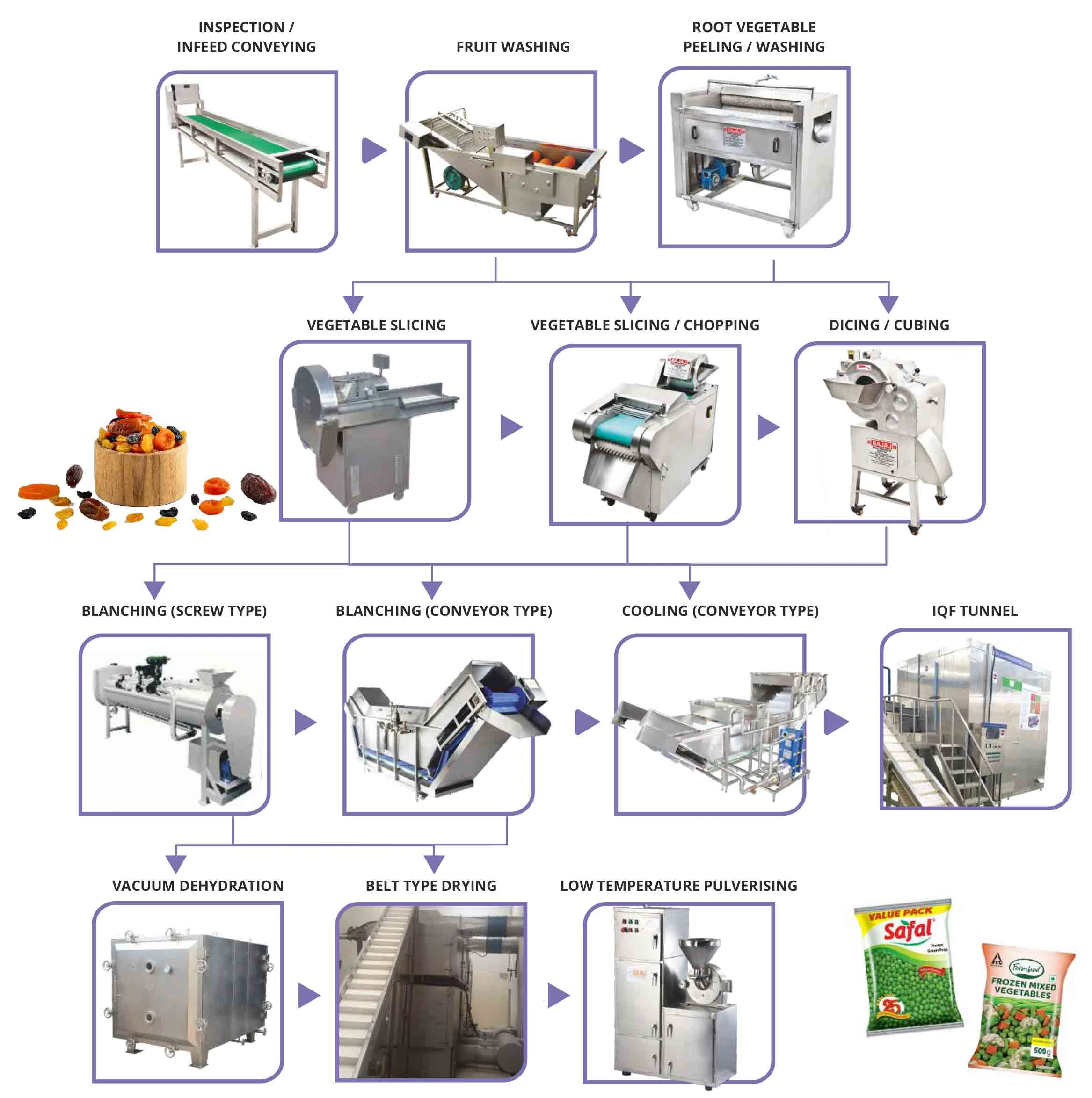 Plant For Fruits And Vegetable Dehydration machine