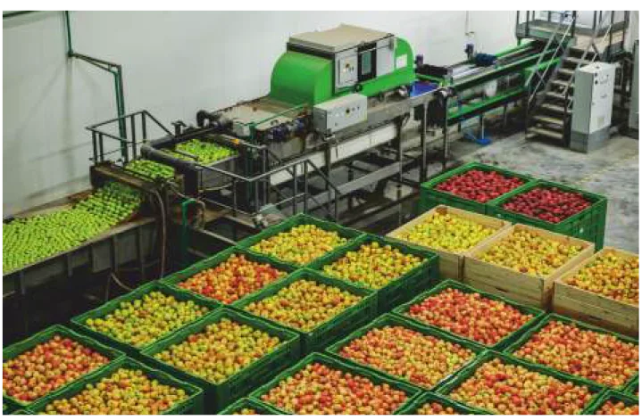 food processing machine