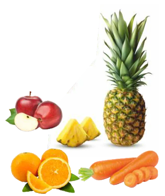 food processing machine in india