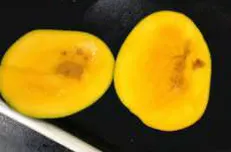 Food processing machine