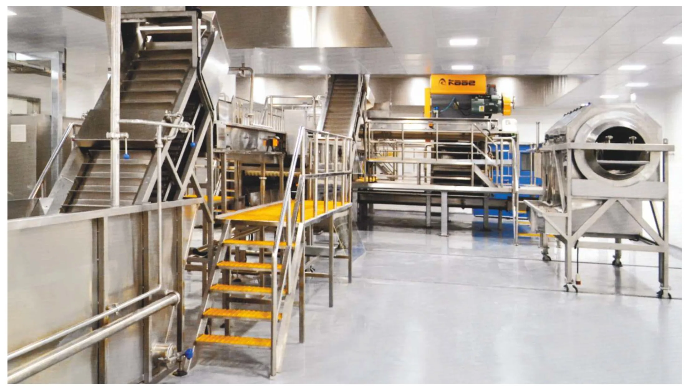 food processing machine in india