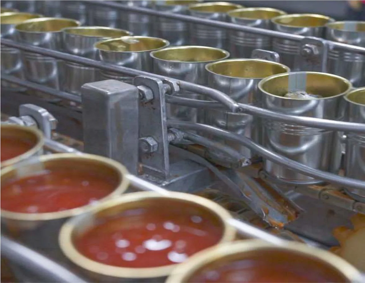 food processing machine