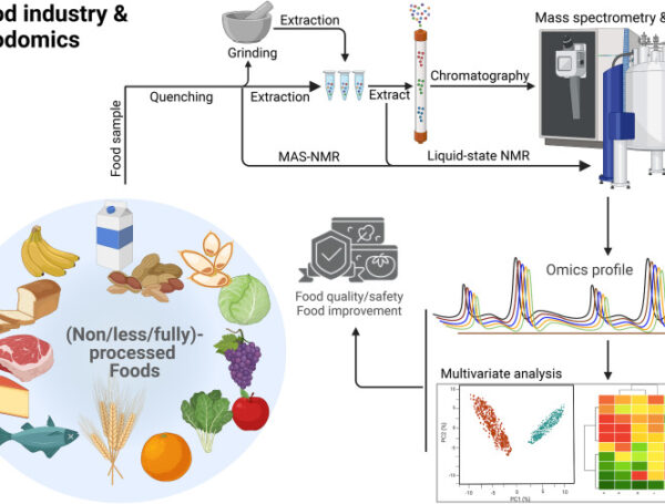 The Evolution of Food Processing: From Manual Operations to Smart Automation