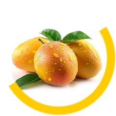 Primary Processing of Fruits and Vegetables