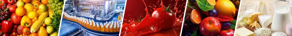 food machine manufacturer