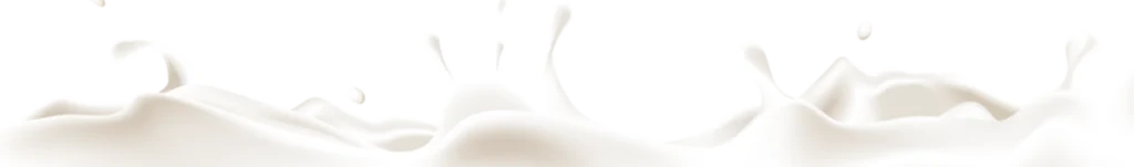 footer_bg copy